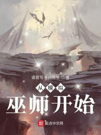 从模拟巫师开始